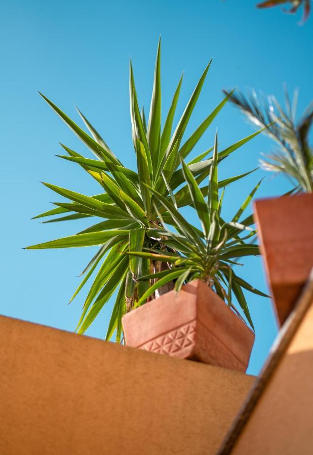 Backpackers Home Zadar Exterior photo